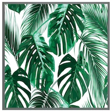 Palm leaves (Picture Frame) Grey | XL