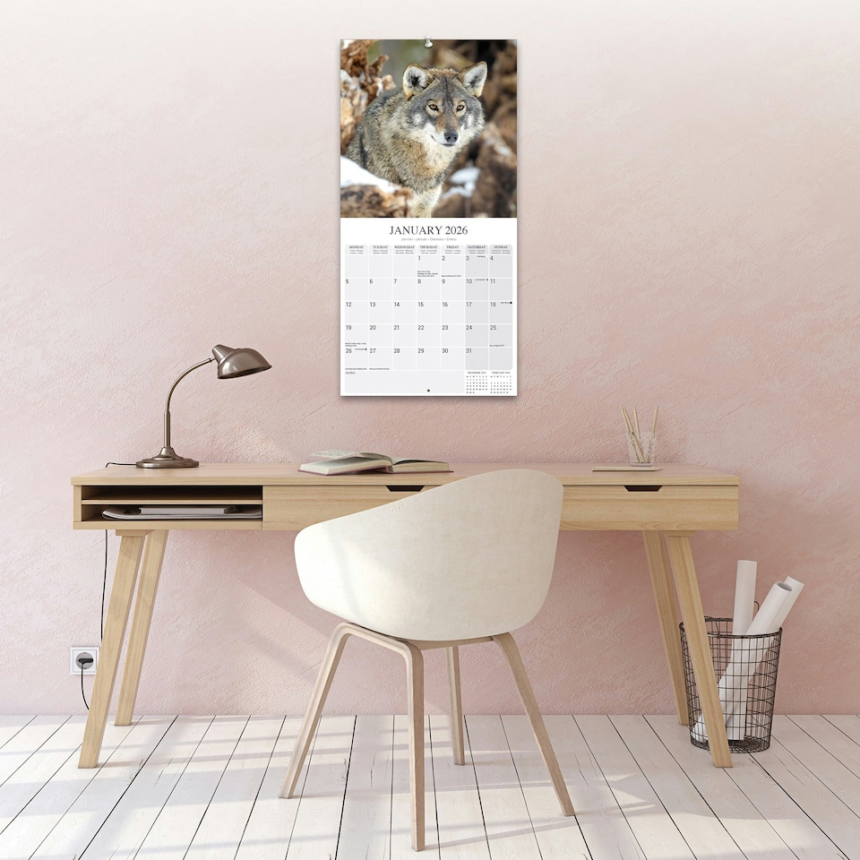 image 1 of Wolves 2026 Calendar | Square Wall Calendar | Animal Gift | Plastic Free Packaging | by Avonside Publishing