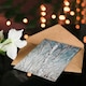 image 4 of Carol M Highsmith Art Card Birch Trees in Utah Photograph