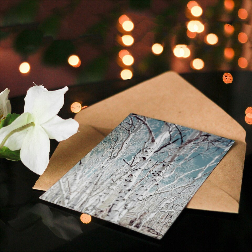 image 1 of Carol M Highsmith Art Card Birch Trees in Utah Photograph