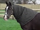 image 1 of Rhinegold Universal Neck Cover | Multi