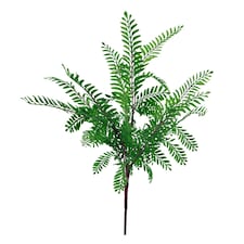 55cm Himilayan Maidenhair Fern Bush Dark Green Plant