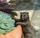 image 2 of Brown Bear Plant Pot Hanger - L10.5 x W5 x H6.5 cm | Bronze