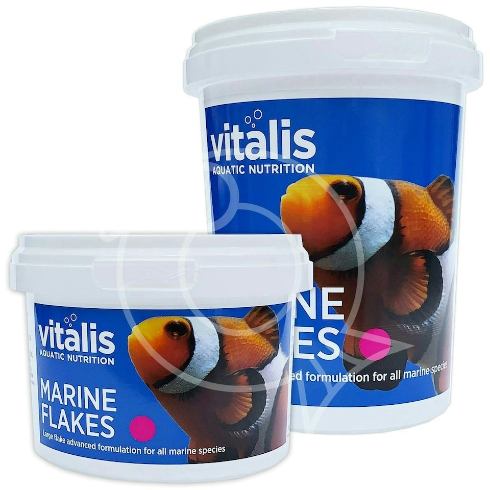 image 1 of Vitalis Marine Flake Saltwater Fish Food N/A | 22g
