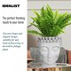 image 5 of White Oval Face Planter Head Buddha Plant Pot Indoor Pot Cover L19 W18 H24 cm, 2.6 ltrs Cap.