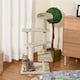 image 2 of PawHut 100cm Cat Tree Indoor Kitten Scratching Post Activity Centre Beige