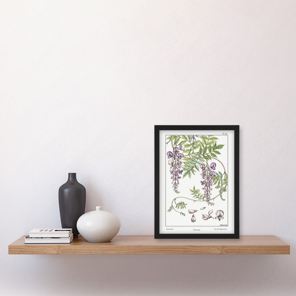 image 1 of Maurice Pillard Verneuil Framed Wall Art Print Wisteria Flower Home Décor