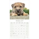 image 3 of Border Terrier 2026 Calendar | Square Wall Calendar | Dog Breed Gift | Plastic Free Packaging | by Avonside Publishing