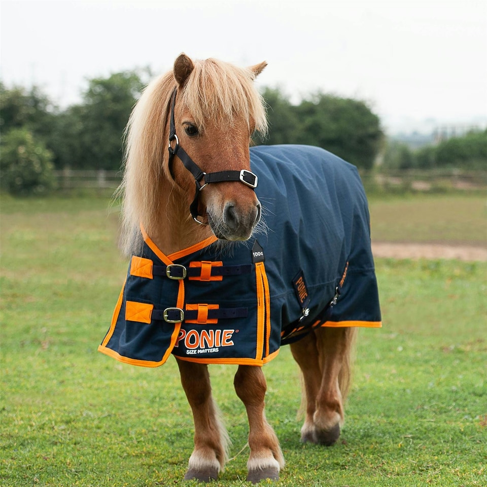Gallop Equestrian Ponie100 Turnout Rug Orange | Colour: Navy/Orange
Size: 4ft 6