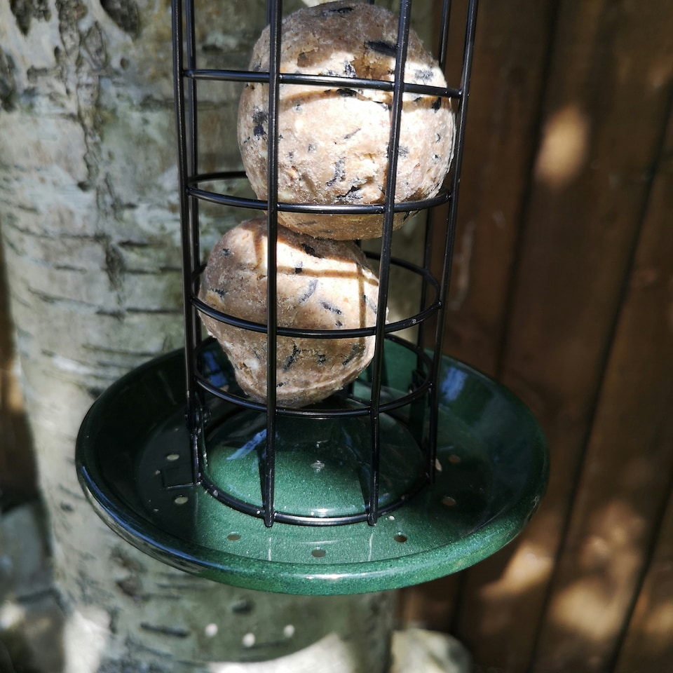 image 1 of Tom Chambers Oriental Stylish Garden Wild Bird Hanging Green Metal Fat Ball Feeder