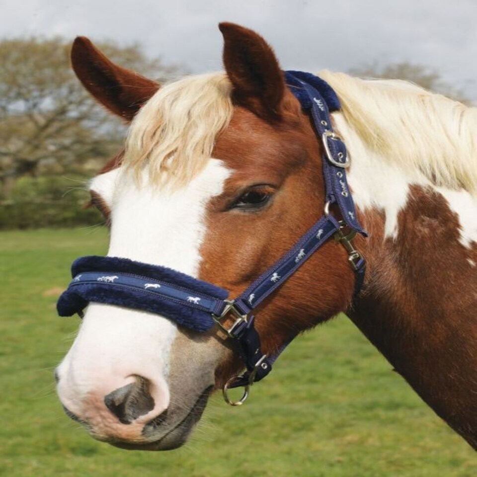 image 1 of Rhinegold Logo Headcollar Fleece Trim Blue | Size: Shetland Pony
Colour: Blue