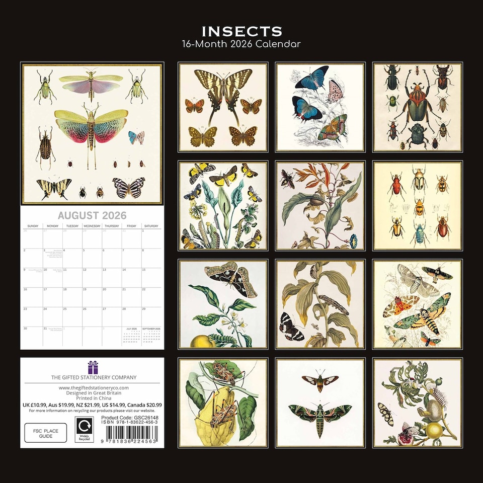 image 1 of 2026 Square Wall Calendar - Insects