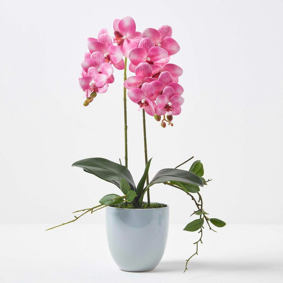 image 1 of Homescapes Pink Orchid 54 cm Phalaenopsis in Ceramic Pot