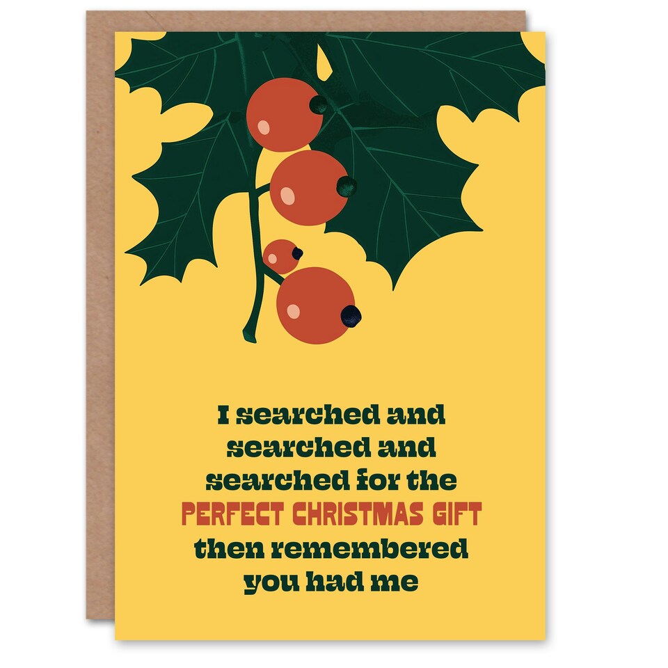 image 1 of I Searched For The Perfect Gift Funny Cheeky Blank For Him Or Her Art Christmas Card