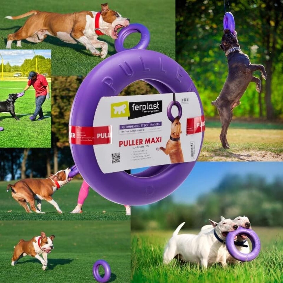 image 1 of Collar Puller Dog Fitness Tool Maxi 30cm
