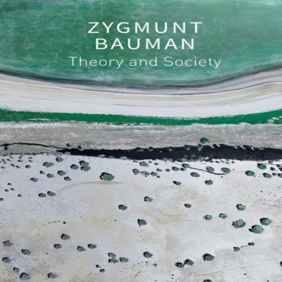 Theory & Society Selected Writings