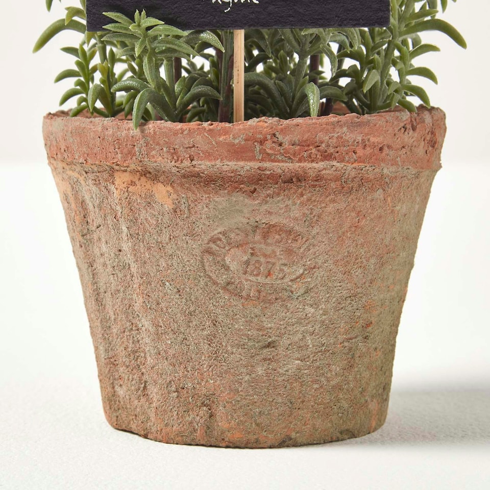 image 1 of Homescapes Artificial Thyme Plant in Decorative Pot