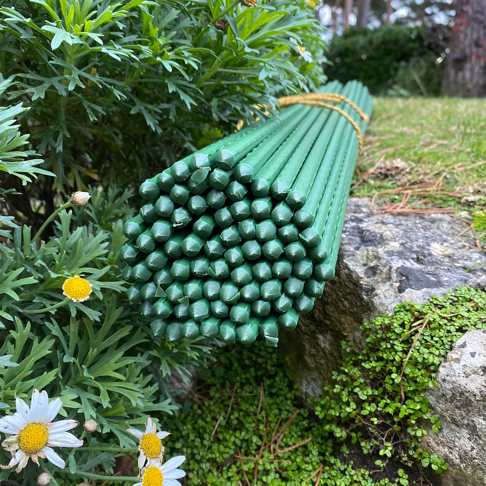 image 1 of Plastic Coated Metal Garden Plant Support Sticks (80cm) - Pack of 80