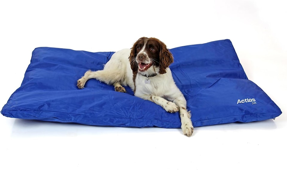 image 1 of Actiaspet - Large Waterproof Dog Bed (Blue, X Large)