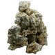image 5 of Dry Ocean Reef Rock 20kg N/A | 9-12cm Pieces