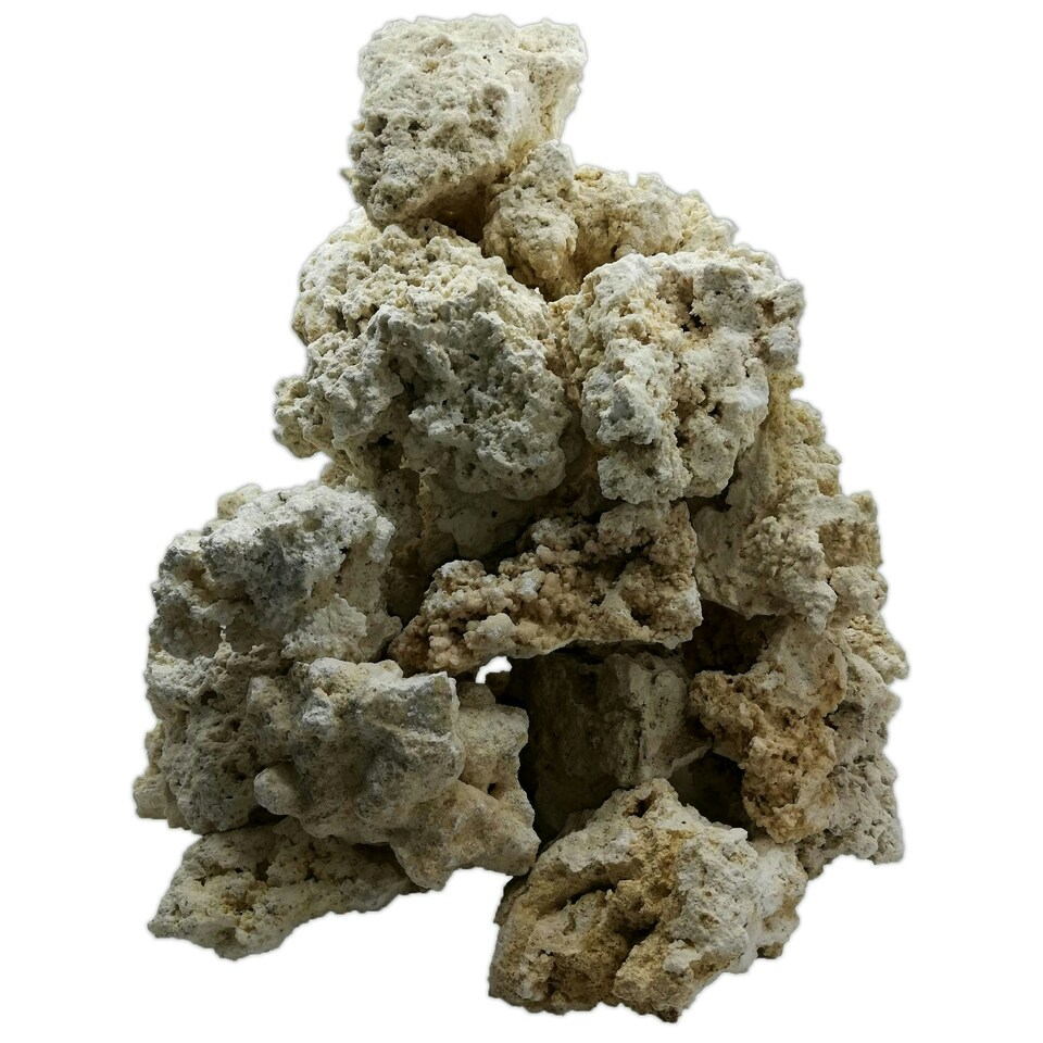 image 1 of Dry Ocean Reef Rock 20kg N/A | 9-12cm Pieces