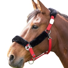 Shires Fleece Lined Horse Headcollar - Red/Black - Cob