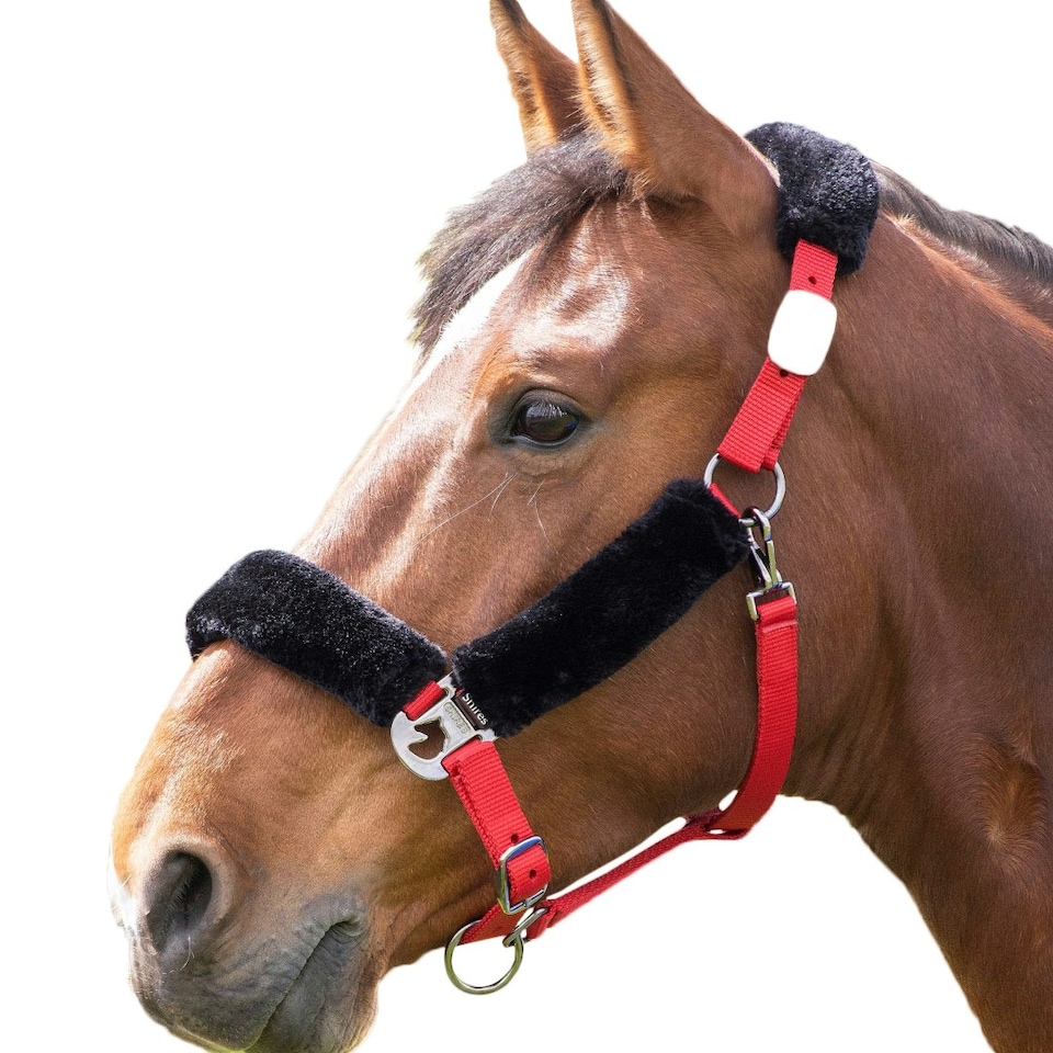 Shires Fleece Lined Horse Headcollar - Red/Black - Cob