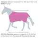 image 3 of Shires Wessex Newmarket Fleece Rug Multi | Colour: Newmarket
Size: 5ft 9