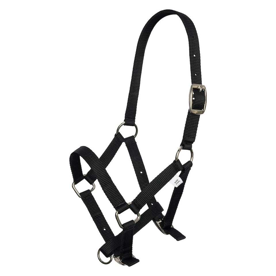 Imperial Riding Nylon Horse Headcollar - Black - Foal
