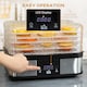image 6 of HOMCOM 5 Tier Food Dehydrator, 245W Stainless Steel Food Dryer Machine with Adjustable Temperature, Timer and LCD Display for Drying Fruit, Meat, Vegetable, Jerky and Pet Treat, Black