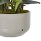 image 4 of Large Orchid in Pot - Plastic/Ceramic - L60 x W65 x H76 cm - White