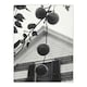image 3 of Alfred Stieglitz Gable and Apples Vintage Photograph Framed Wall Art Print A3