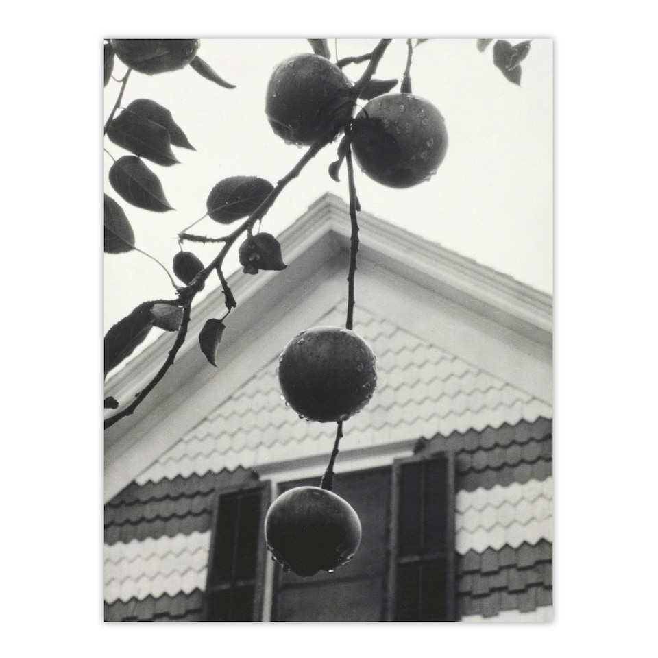 image 1 of Alfred Stieglitz Gable and Apples Vintage Photograph Framed Wall Art Print A3