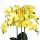 image 2 of Orchid Yellow - Black Ceramic Planter