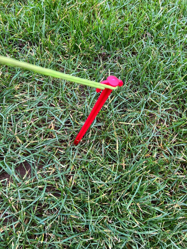 image 1 of Pack of 6 Extra long 30cm Plastic Tent Pegs