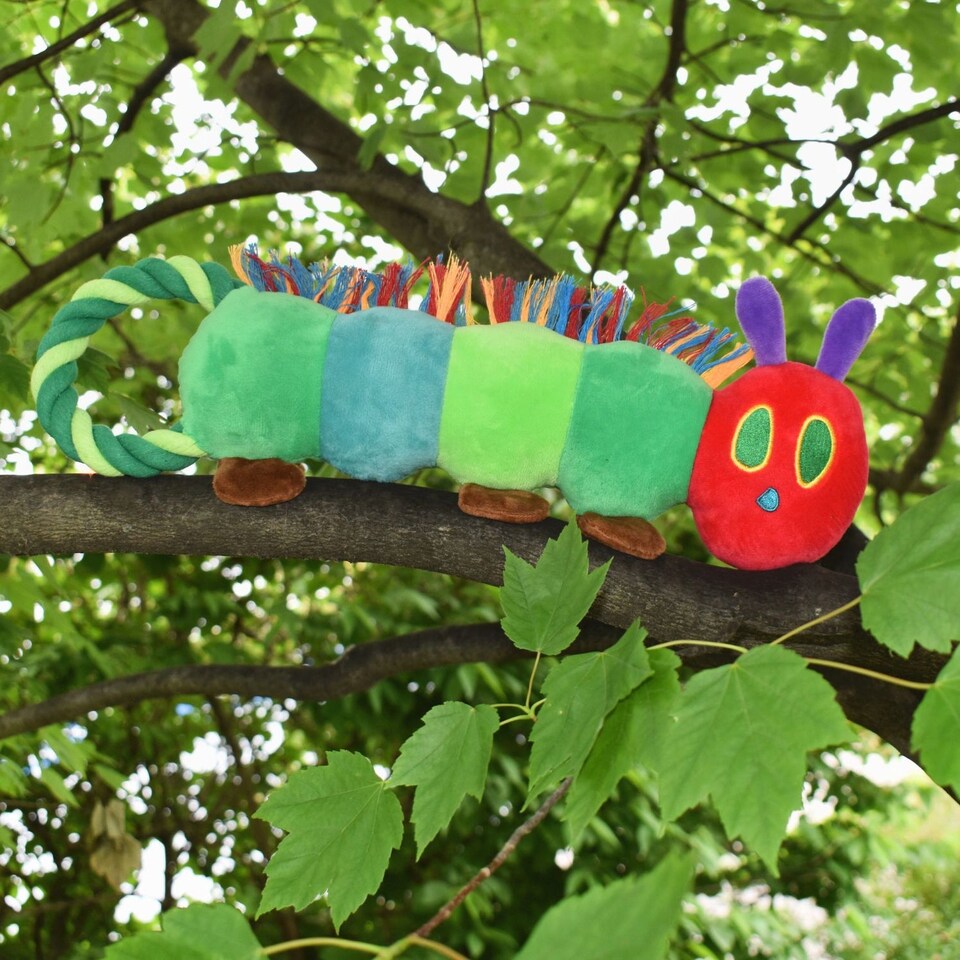 image 1 of Eric Carle™ The Very Hungry Caterpillar Rope Toy Large | Green