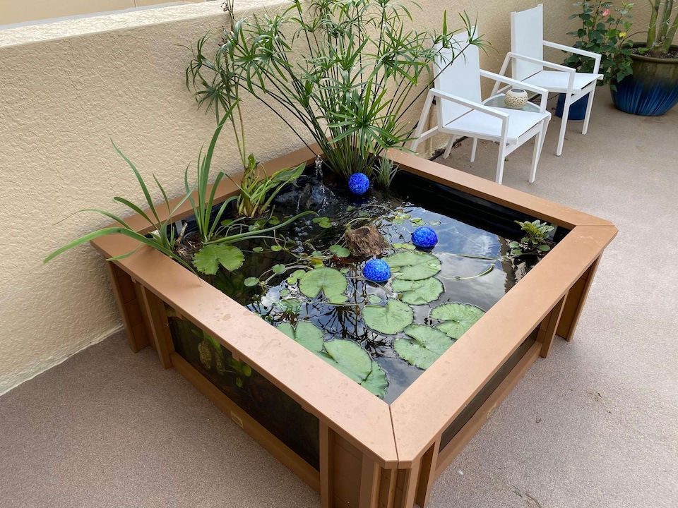 image 1 of Raised square pond with large windows Lotus Clear View Garden Aquarium in Natural Brown