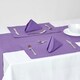 image 2 of Homescapes Cotton Plain Purple Pack of 2 Placemats | Purple | One Size | 2