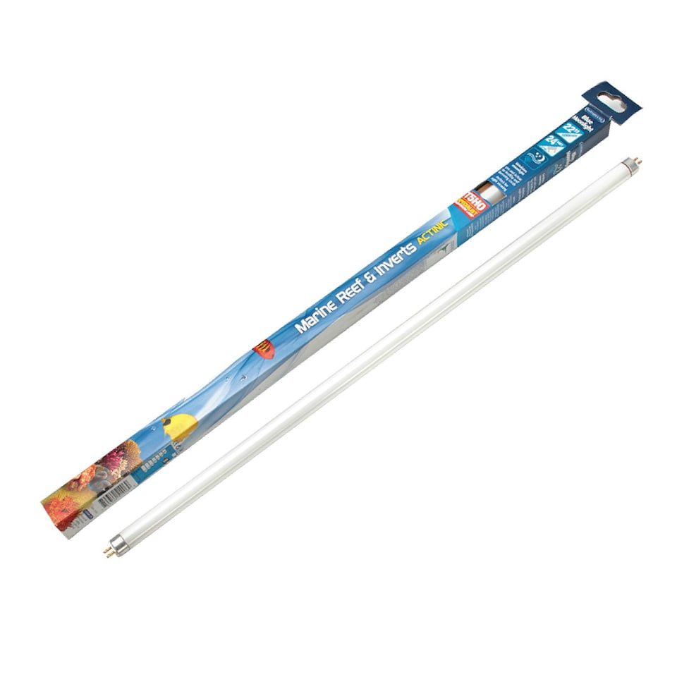 Interpet Replacement Blue Moonlight 24w T5HO Aquarium Bulb