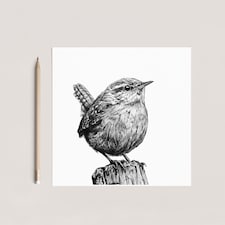 Greeting Cards