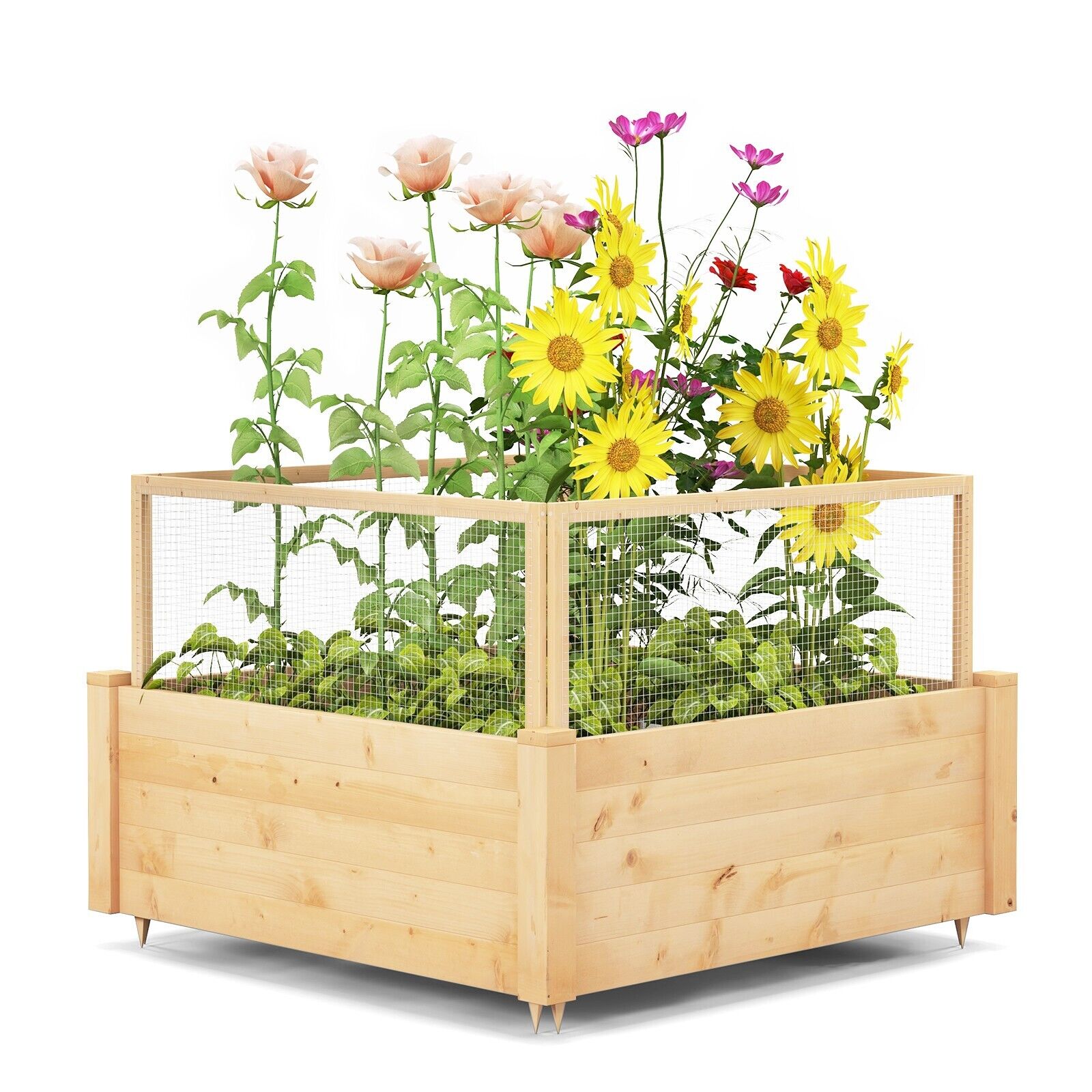 COSTWAY Raised Garden Bed Wooden Elevated Planter Box w/Critter Guard Fence