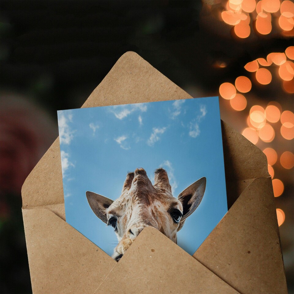image 1 of Carol M Highsmith Art Card Funny Up Close Look At A Giraffe