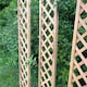 image 8 of Wooden Framed Trellis Panels Fence Toppers (180cm x 30cm) - Pack of 5