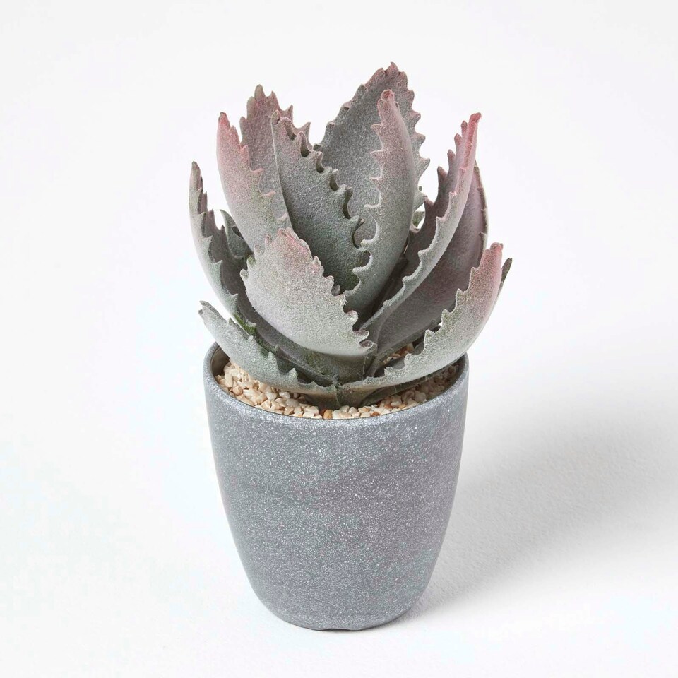 image 1 of Homescapes Purple and Green Aloe Vera Artificial Succulent in Grey Pot, 21 cm Tall