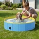 image 2 of PawHut Dog Pool Dog Bath Tub Dog Paddling Pool, 100 x 30 cm