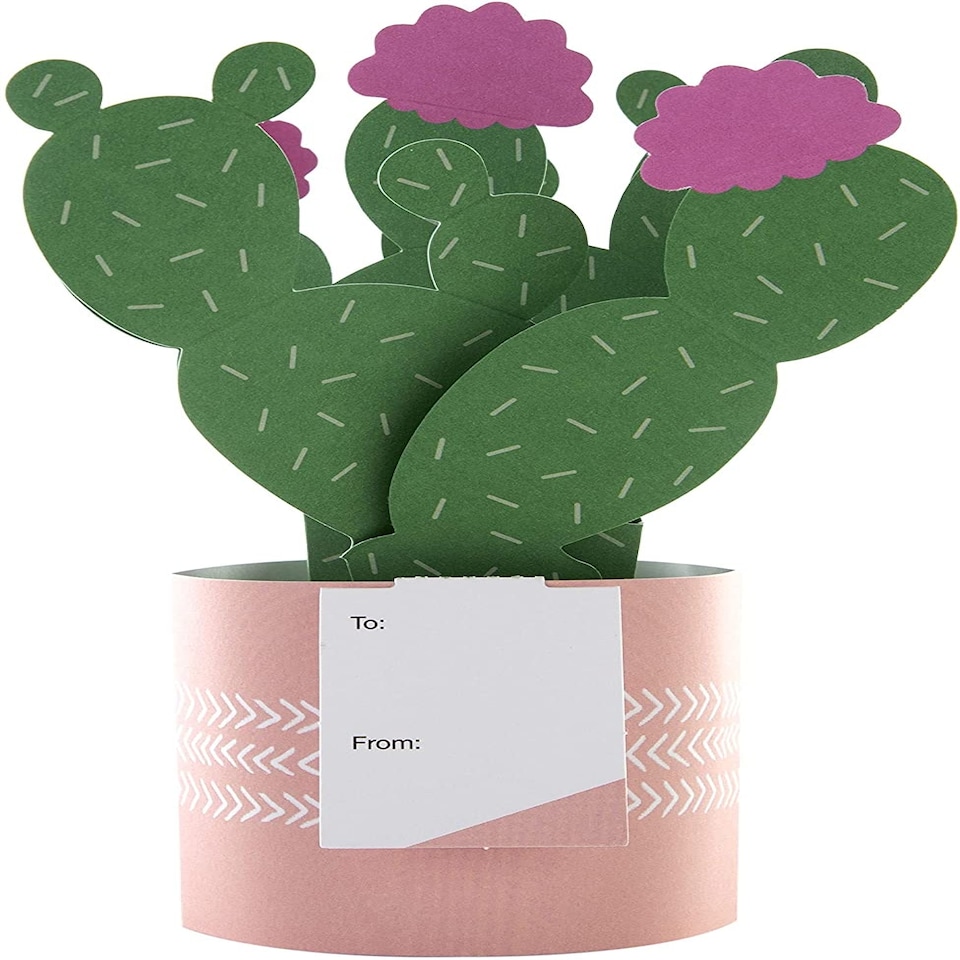 image 1 of Contemporary Cactus Design Pop Up Card