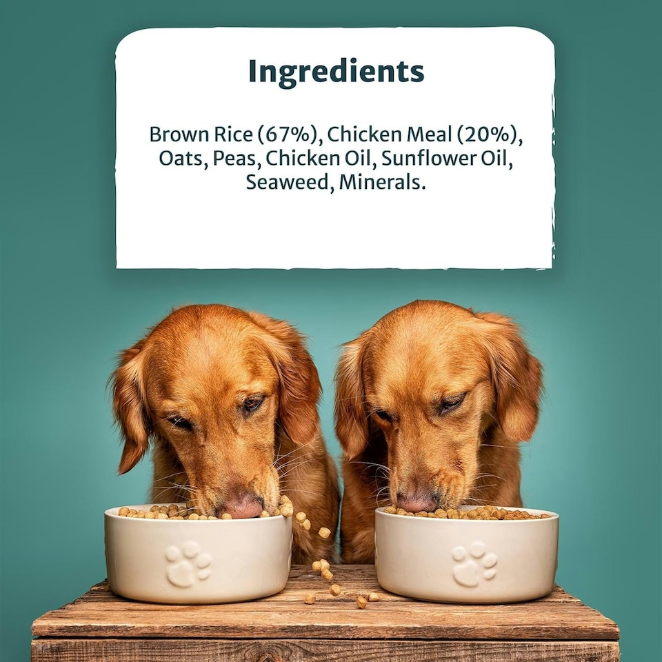 image 1 of Burns Original Chicken & Brown Rice Complete Adult & Senior Dry Dog Food - 6 kg