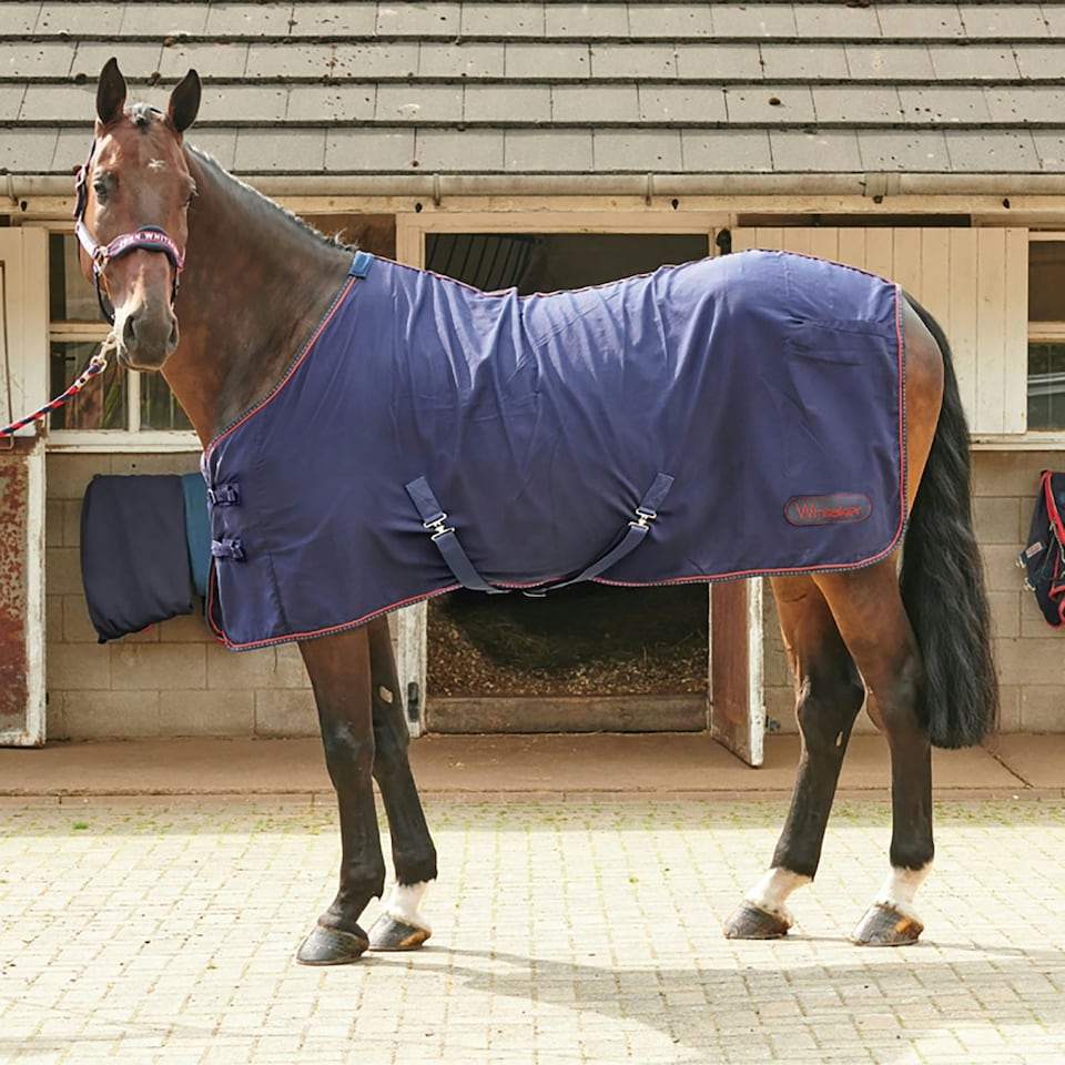 image 1 of Whitaker Summer Sheet Rug Rastrick Navy - 6' 0
