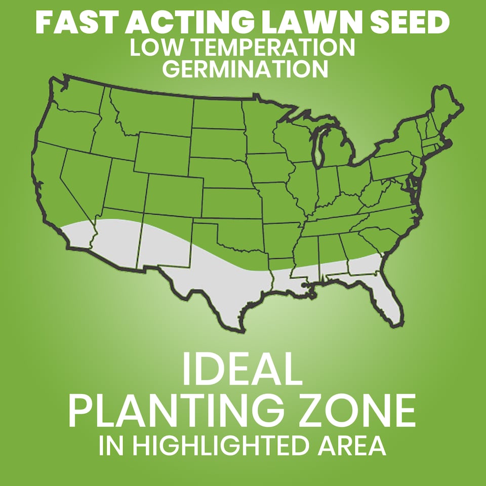 image 1 of Westland Gro-Sure Fast Acting Lawn Seed 30 Square Meter with 20 Percent Extra Free Quick Germination Grass Seed for New Lawns and Patch Repair