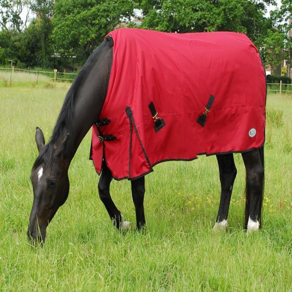 image 1 of Rhinegold Konig Outdoor Rug Red | Size: 6ft 9
Colour: Red